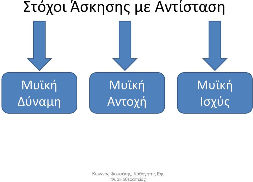 Μυϊκή Δύναμη