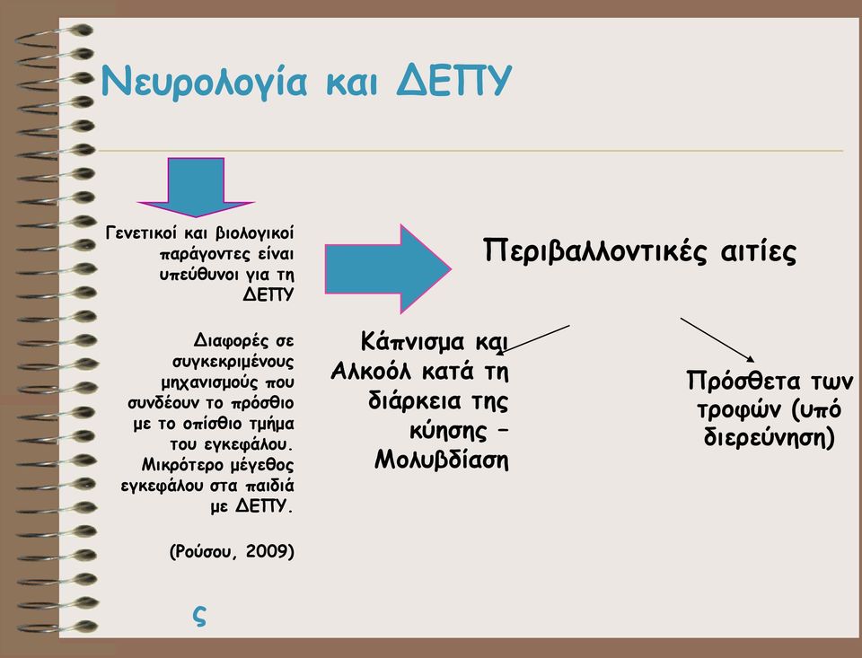 οπίσθιο τμήμα του εγκεφάλου. Μικρότερο μέγεθος εγκεφάλου στα παιδιά με ΔΕΠΥ.