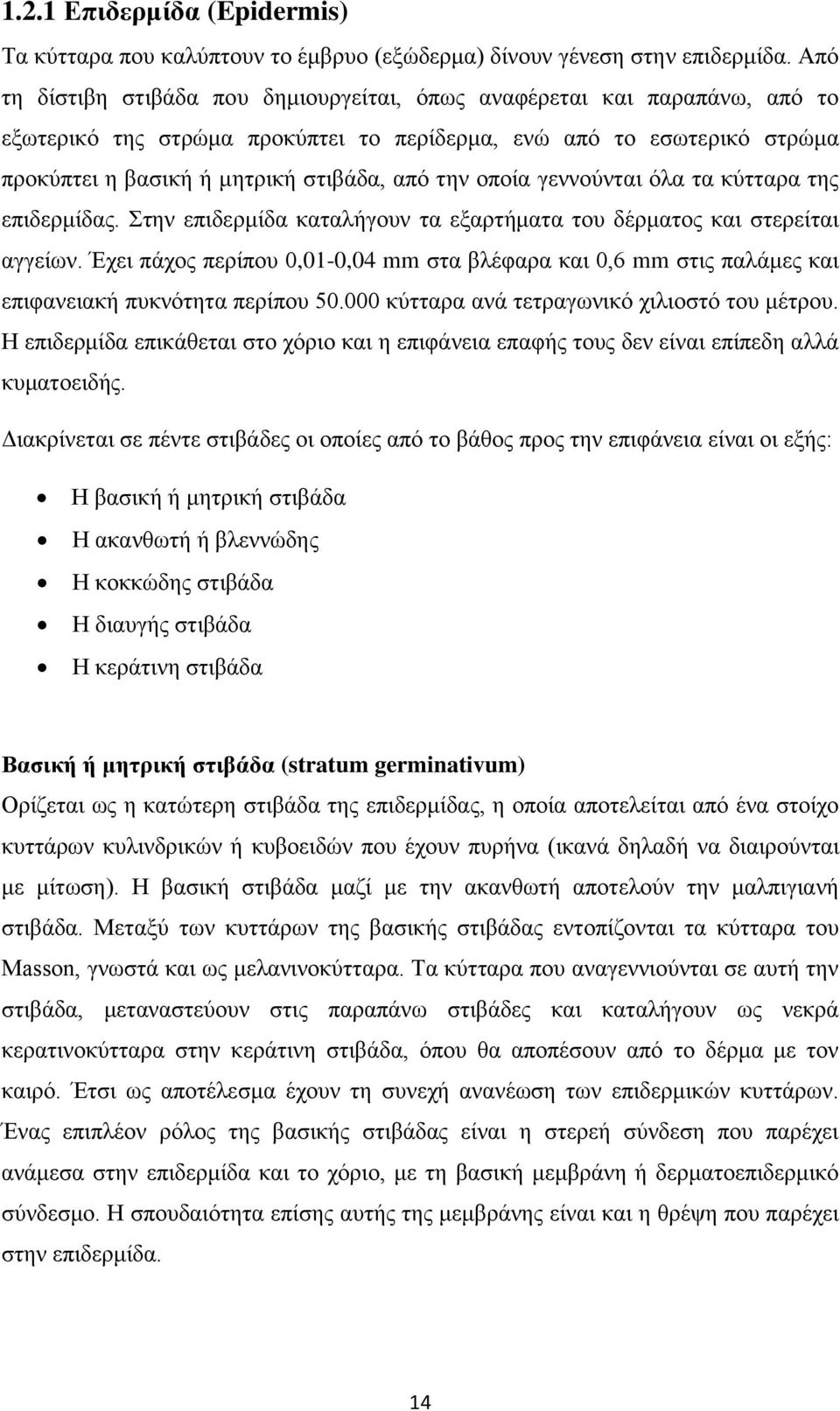 οποία γεννούνται όλα τα κύτταρα της επιδερμίδας. Στην επιδερμίδα καταλήγουν τα εξαρτήματα του δέρματος και στερείται αγγείων.