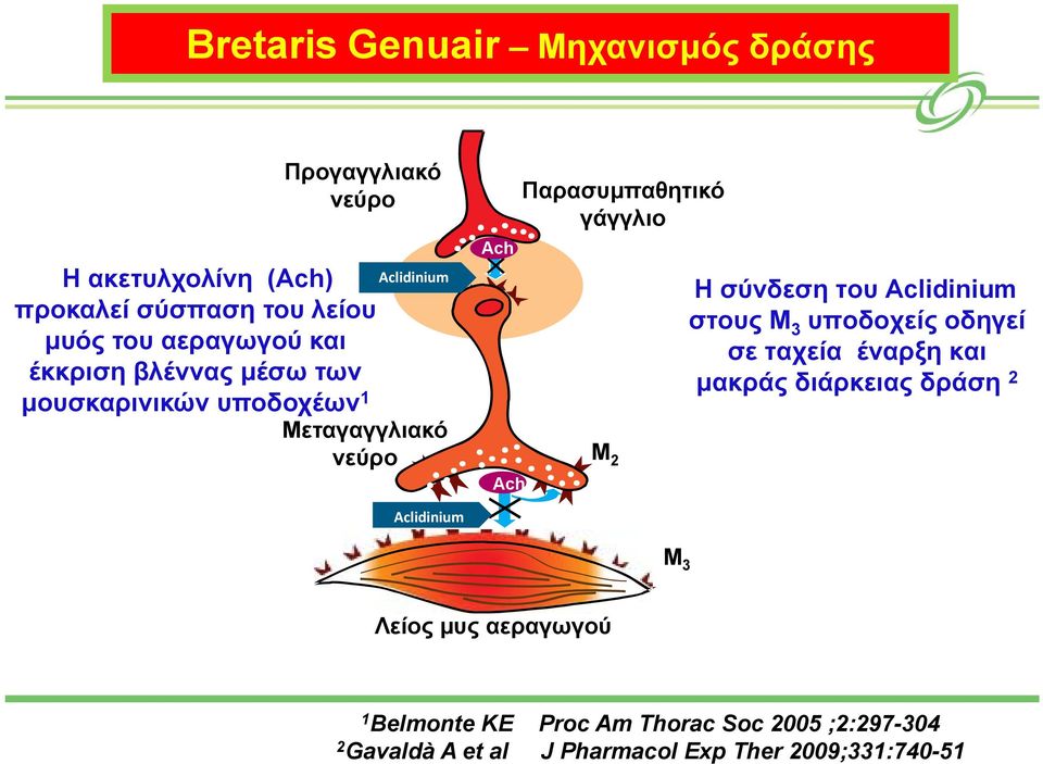 Παρασυμπαθητικό γάγγλιο M 2 Η σύνδεση του Aclidinium στους Μ 3 υποδοχείς οδηγεί σε ταχεία έναρξη και μακράς διάρκειας