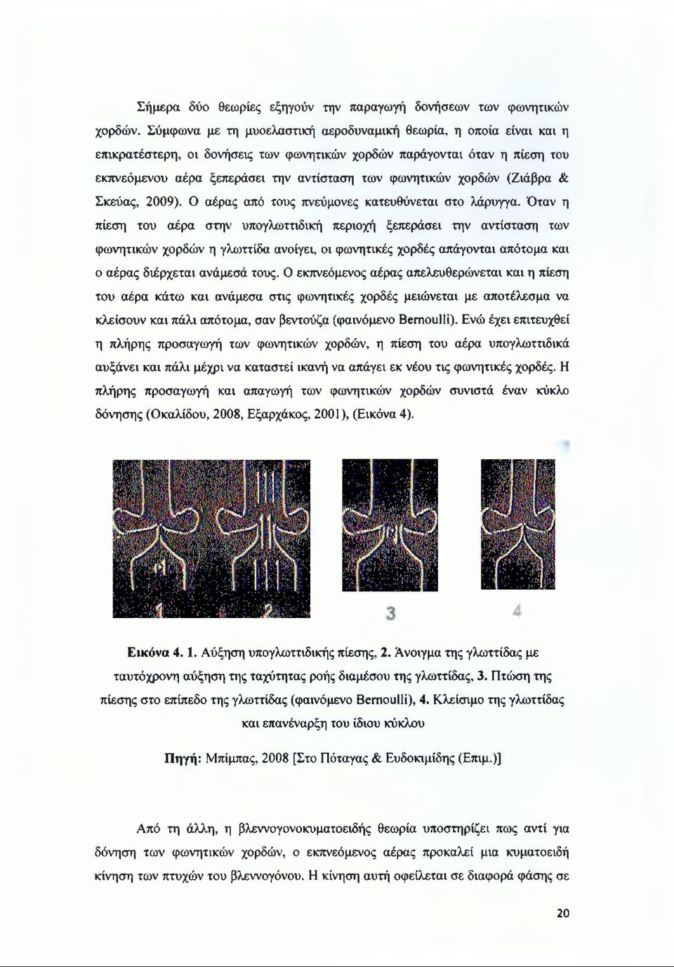 χορδών (Ζιάβρα & Σκεύας, 2009). Ο αέρας από τους πνεύμονες κατευθύνεται στο λάρυγγα.