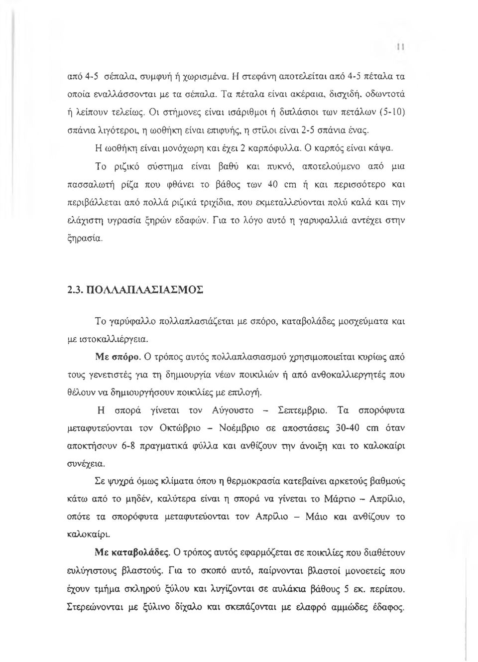 Το ριζικό σύστημα είναι βαθύ και πυκνό, αποτελούμενο από μια πασσαλωτή ρίζα που φθάνει το βάθος των 40 cm ή και περισσότερο και περιβάλλεται από πολλά ριζικά τριχίδια, που εκμεταλλεύονται πολύ καλά