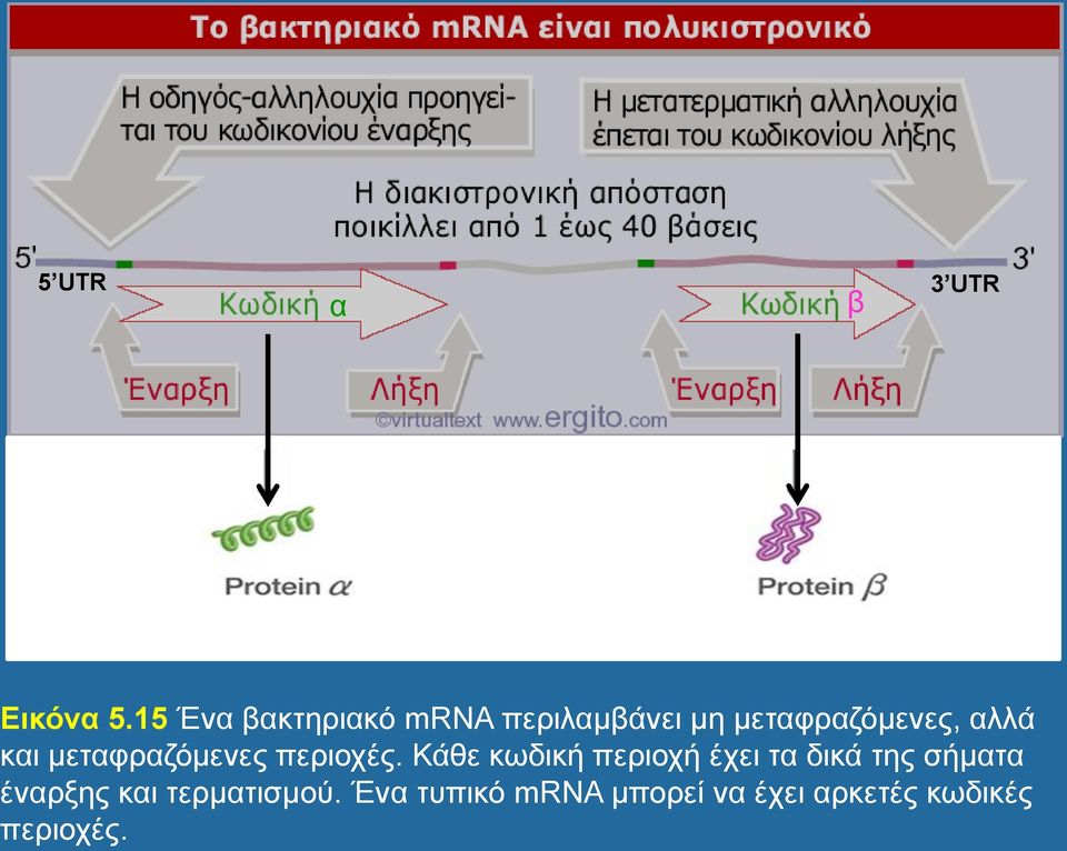 και μεταφραζόμενες περιοχές.