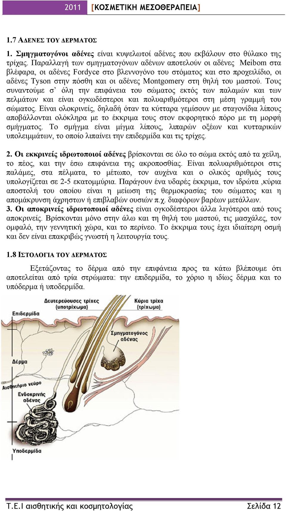 θηλή του μαστού. Τους συναντούμε σ όλη την επιφάνεια του σώματος εκτός των παλαμών και των πελμάτων και είναι ογκωδέστεροι και πολυαριθμότεροι στη μέση γραμμή του σώματος.