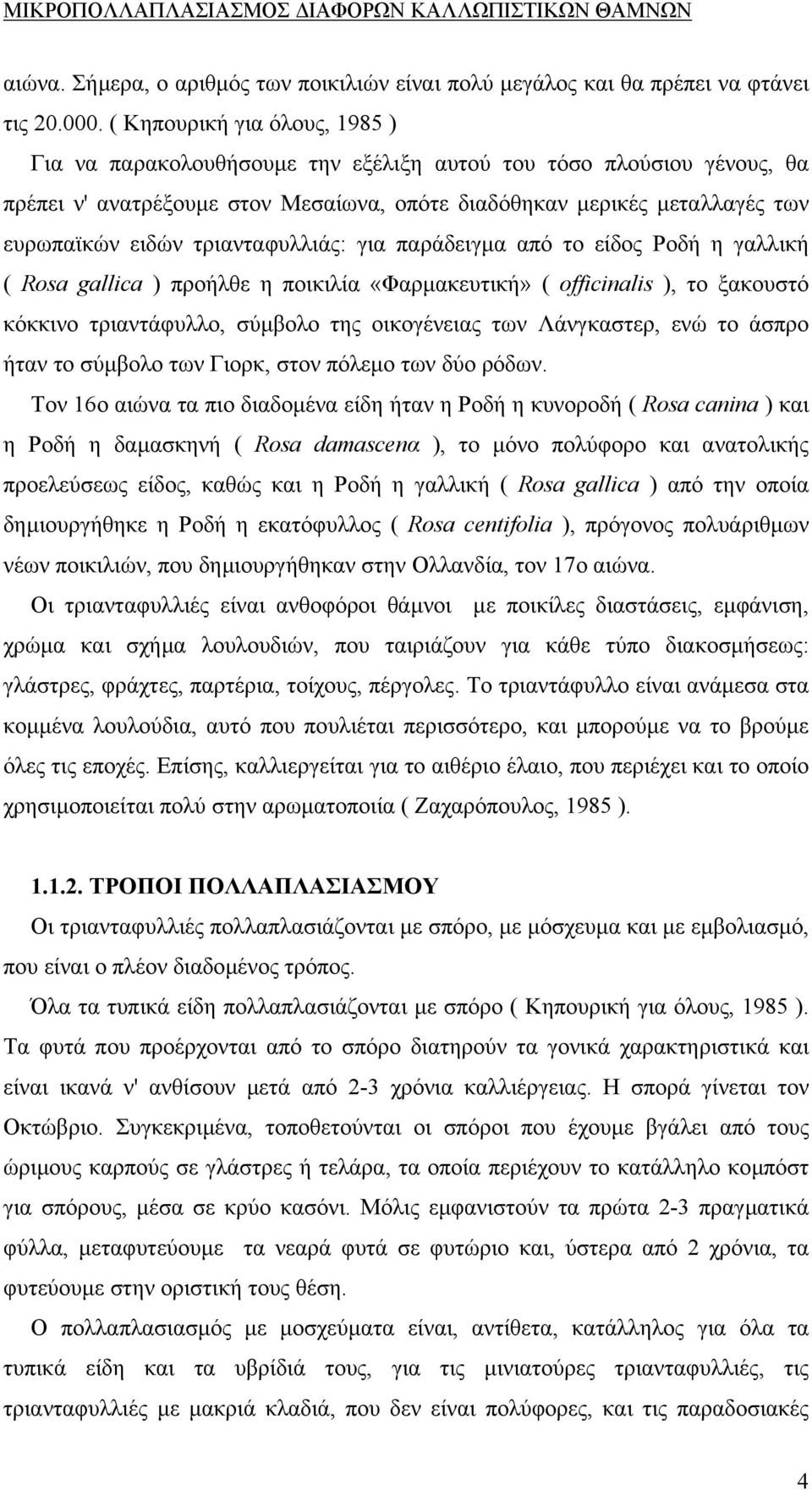 τριανταφυλλιάς: για παράδειγµα από το είδος Ροδή η γαλλική ( Rosa gallica ) προήλθε η ποικιλία «Φαρµακευτική» ( οfficinalis ), το ξακουστό κόκκινο τριαντάφυλλο, σύµβολο της οικογένειας των