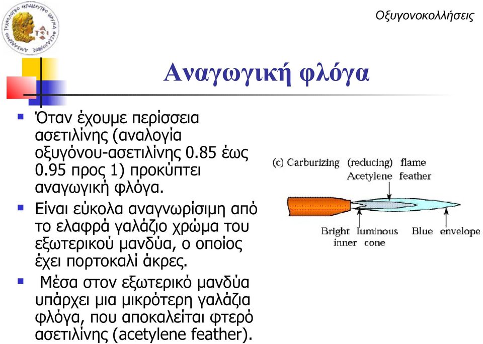 Είναι εύκολα αναγνωρίσιμη από το ελαφρά γαλάζιο χρώμα του εξωτερικού μανδύα, ο οποίος