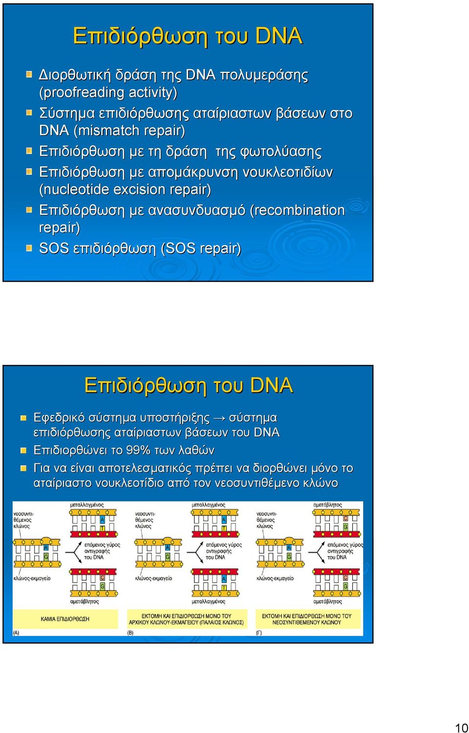 ανασυνδυασµό (recombination repair) SOS επιδιόρθωση (SOS repair) Επιδιόρθωση του DNA Εφεδρικό σύστηµα υποστήριξης σύστηµα επιδιόρθωσης