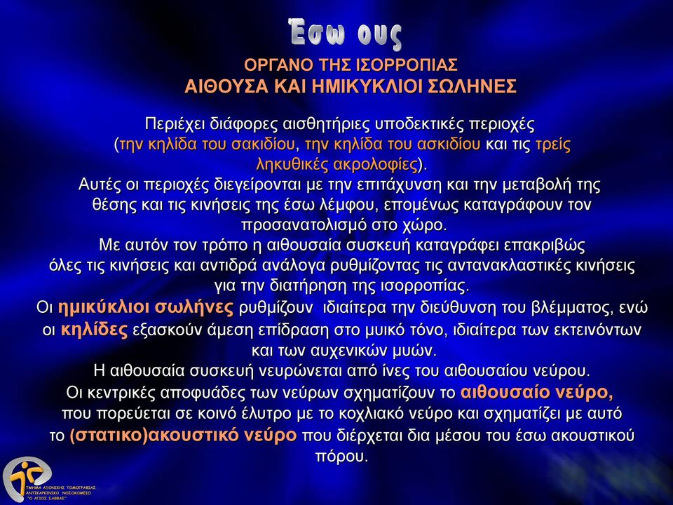 Με αυτόν τον τρόπο η αιθουσαία συσκευή καταγράφει επακριβώς όλες τις κινήσεις και αντιδρά ανάλογα ρυθμίζοντας τις αντανακλαστικές κινήσεις για την διατήρηση της ισορροπίας.