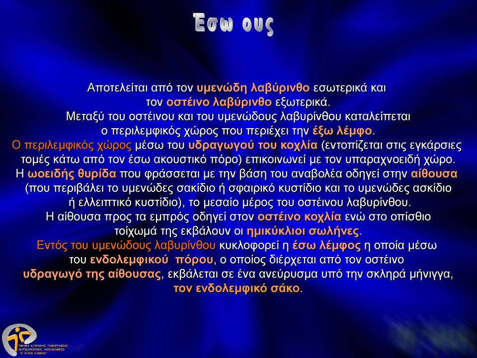 Η ωοειδής θυρίδα που φράσσεται με την βάση του αναβολέα οδηγεί στην αίθουσα (που περιβάλει το υμενώδες σακίδιο ή σφαιρικό κυστίδιο και το υμενώδες ασκίδιο ή ελλειπτικό κυστίδιο), το μεσαίο μέρος του