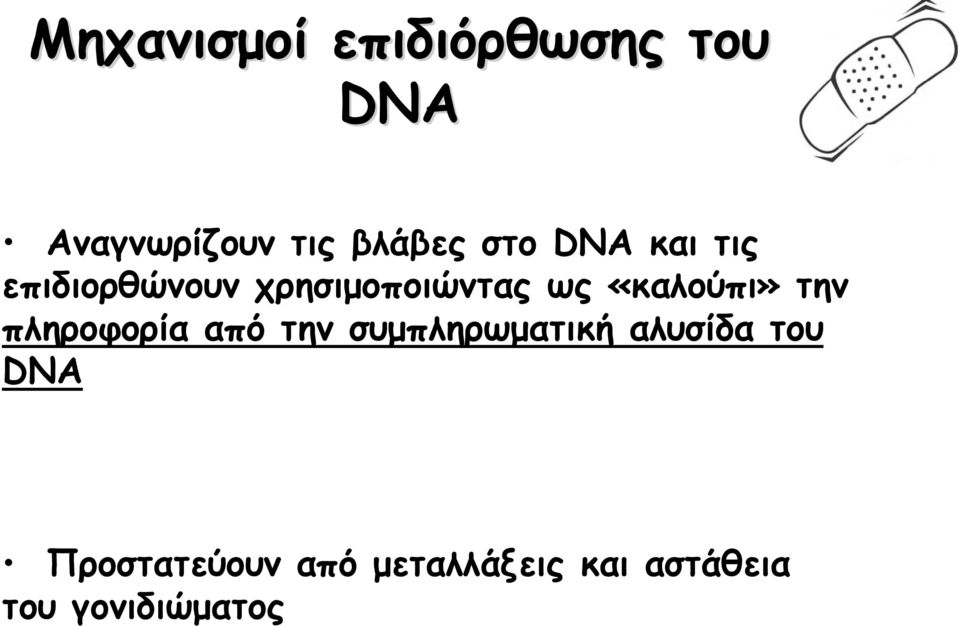 «καλούπι» την πληροφορία από την συμπληρωματική αλυσίδα