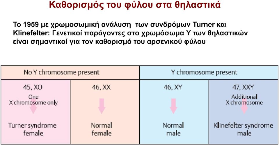 Klinefelter: Γενετικοί παράγοντες στο χρωμόσωμα Y