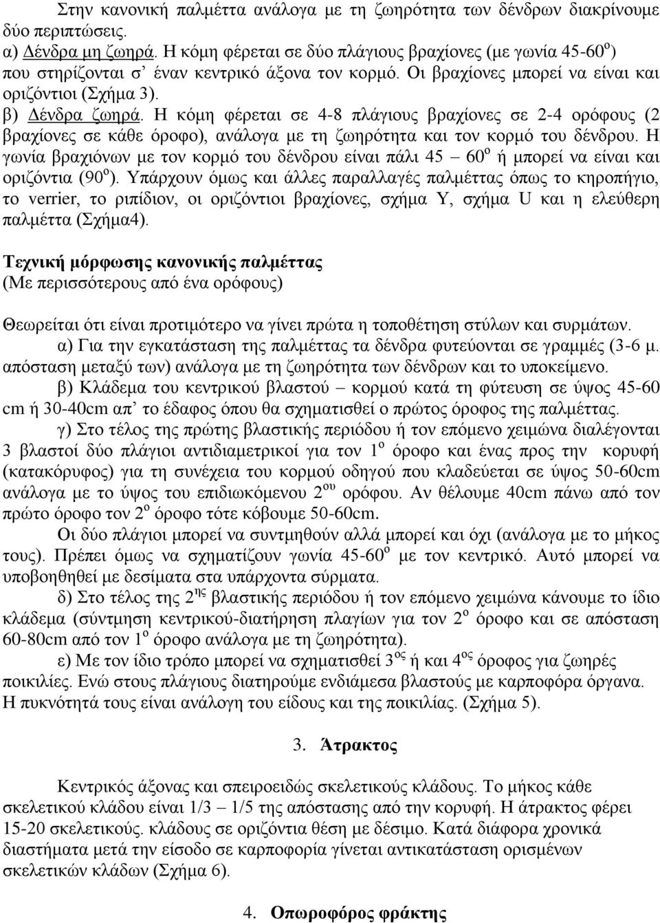 Η κόμη φέρεται σε 4-8 πλάγιους βραχίονες σε 2-4 ορόφους (2 βραχίονες σε κάθε όροφο), ανάλογα με τη ζωηρότητα και τον κορμό του δένδρου.