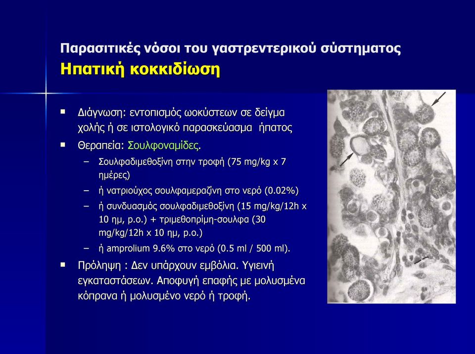 02%) ή συνδυασμός σουλφαδιμεθοξίνη (15 mg/kg/12h x 10 ημ, p.o.) + τριμεθοπρίμη-σουλφα (30 mg/kg/12h x 10 ημ, p.o.) ή amprolium 9.