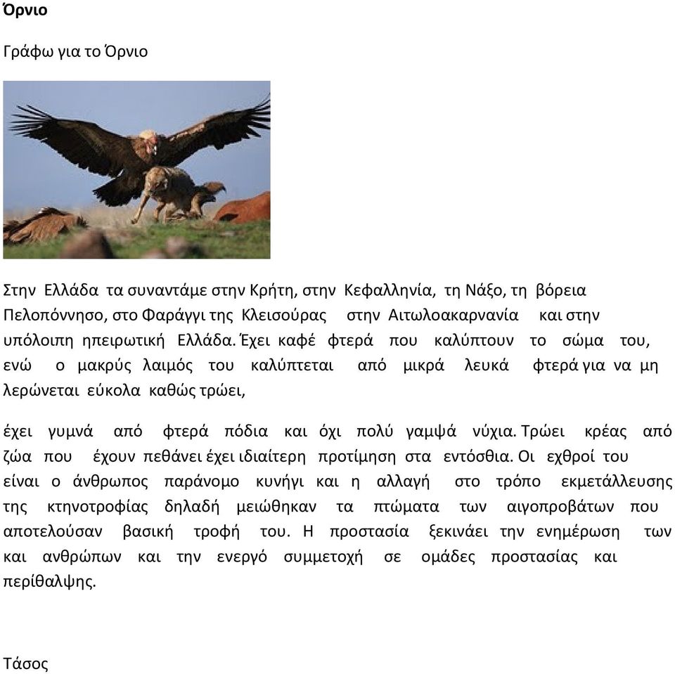 Έχει καφέ φτερά που καλύπτουν το σώμα του, ενώ ο μακρύς λαιμός του καλύπτεται από μικρά λευκά φτερά για να μη λερώνεται εύκολα καθώς τρώει, έχει γυμνά από φτερά πόδια και όχι πολύ γαμψά νύχια.