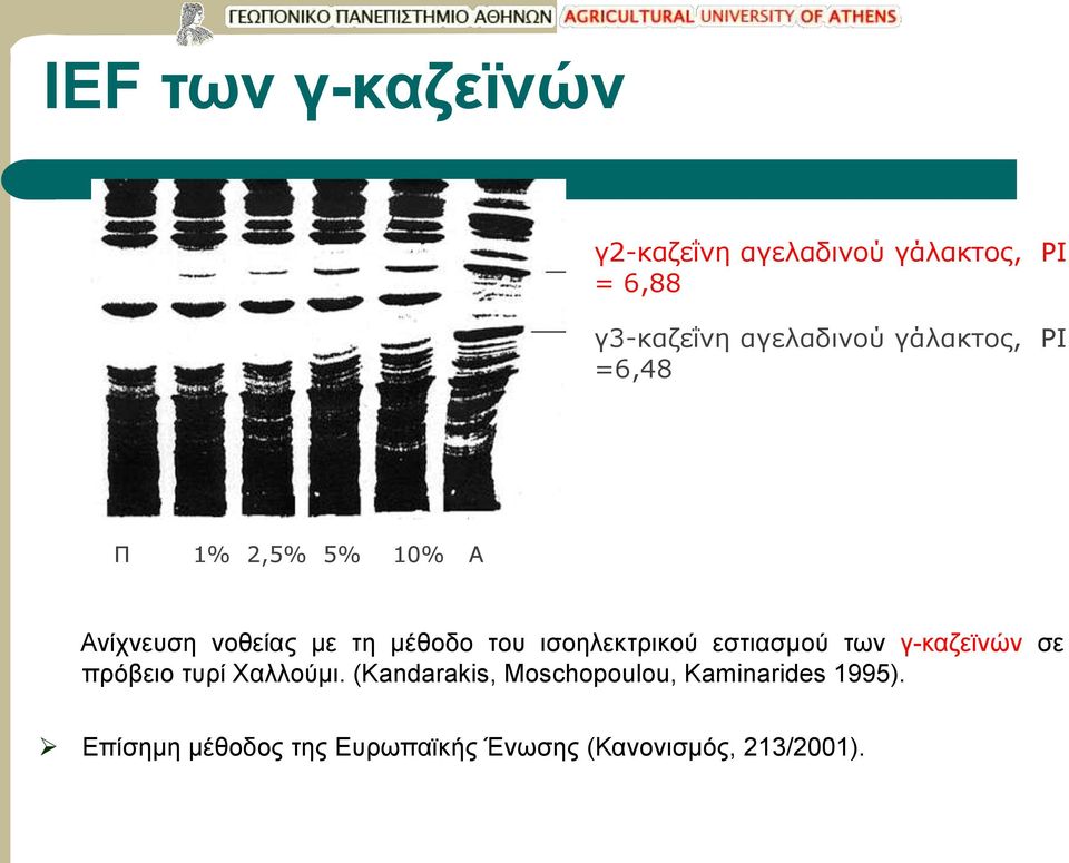 του ισοηλεκτρικού εστιασμού των γ-καζεϊνών σε πρόβειο τυρί Χαλλούμι.