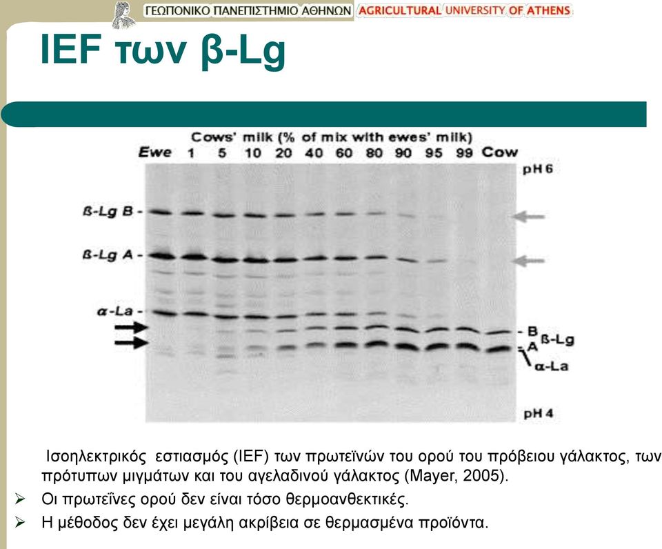 γάλακτος (Mayer, 2005).