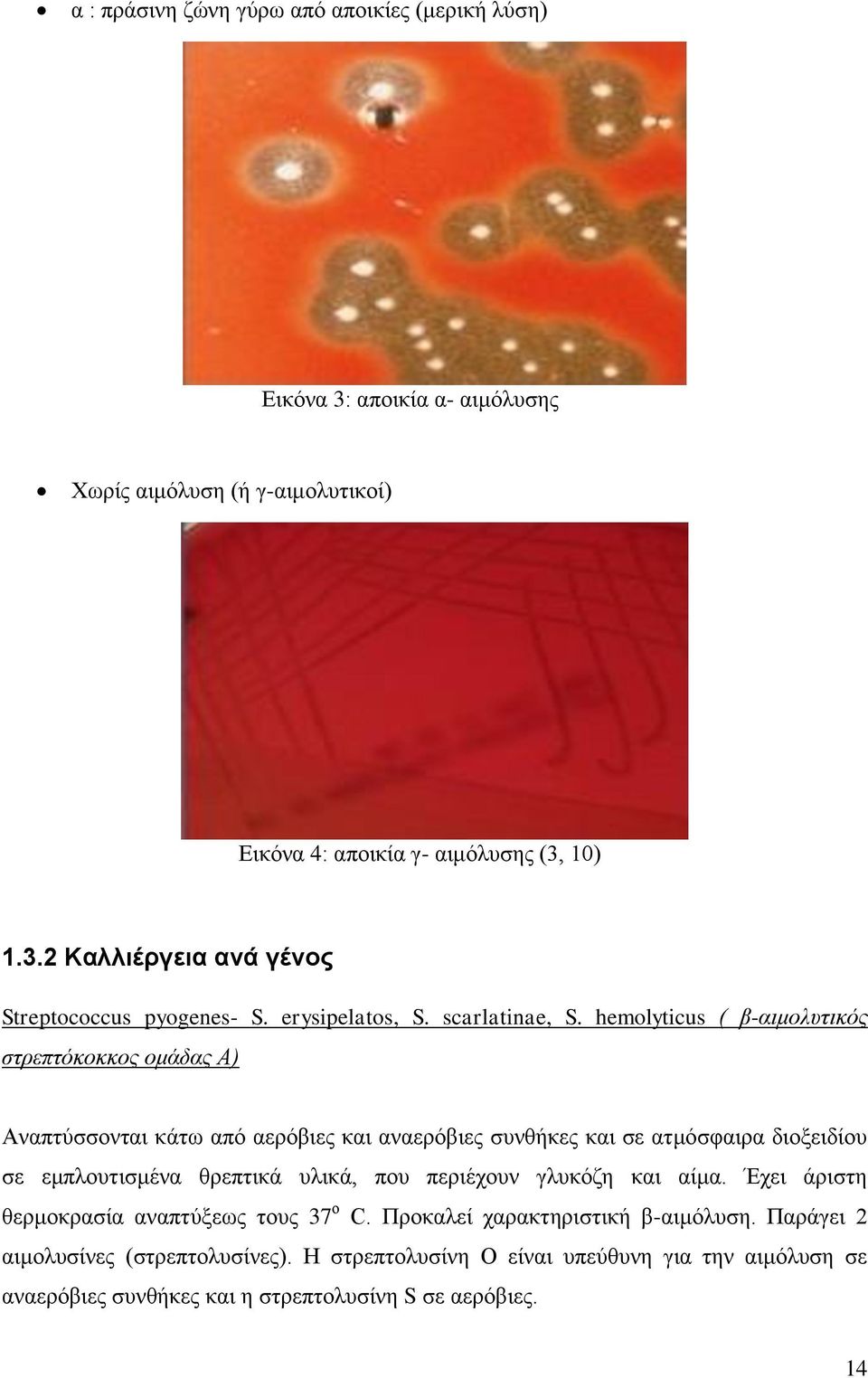 hemolyticus ( β-αιμολυτικός στρεπτόκοκκος ομάδας Α) Αναπτύσσονται κάτω από αερόβιες και αναερόβιες συνθήκες και σε ατμόσφαιρα διοξειδίου σε εμπλουτισμένα θρεπτικά