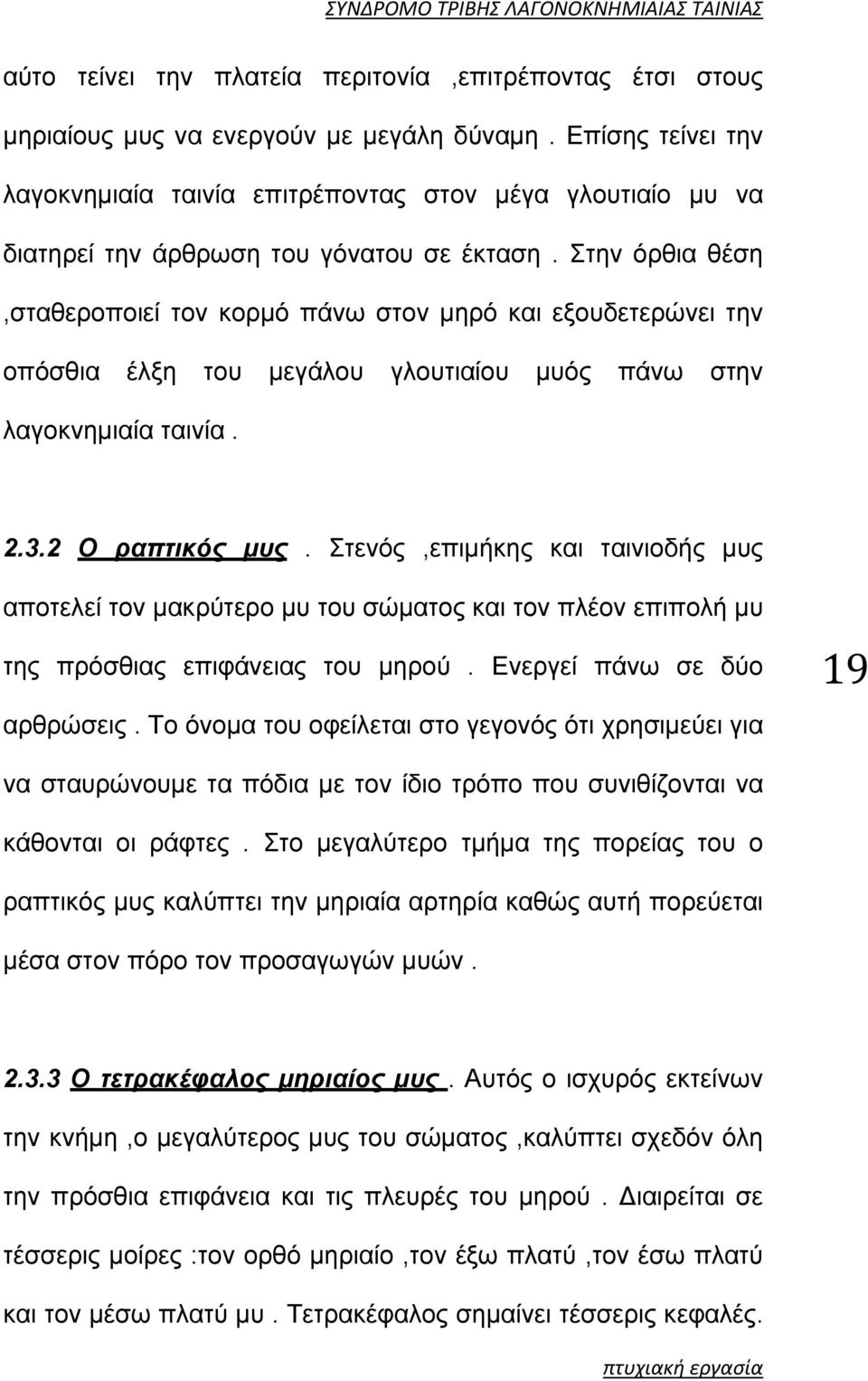 Στην όρθια θέση,σταθεροποιεί τον κορμό πάνω στον μηρό και εξουδετερώνει την οπόσθια έλξη του μεγάλου γλουτιαίου μυός πάνω στην λαγοκνημιαία ταινία. 2.3.2 Ο ραπτικός μυς.