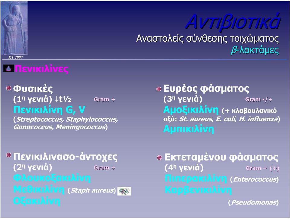 κλαβουλανικό οξύ: St. aureus, E. coli, H.