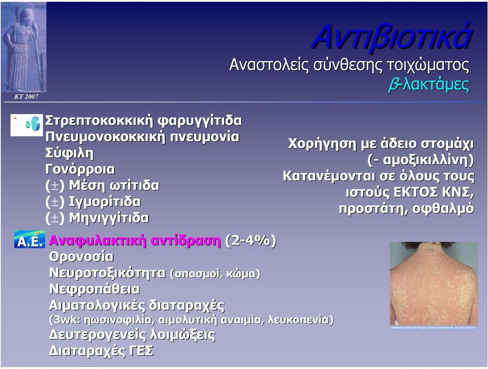 Κατανέµονται σε όλους τους (±) Μέση ωτίτιδα ιστούς ΕΚΤΟΣ ΚΝΣ, (±) Ιγµορίτιδα προστάτη, οφθαλµό (±) Μηνιγγίτιδα