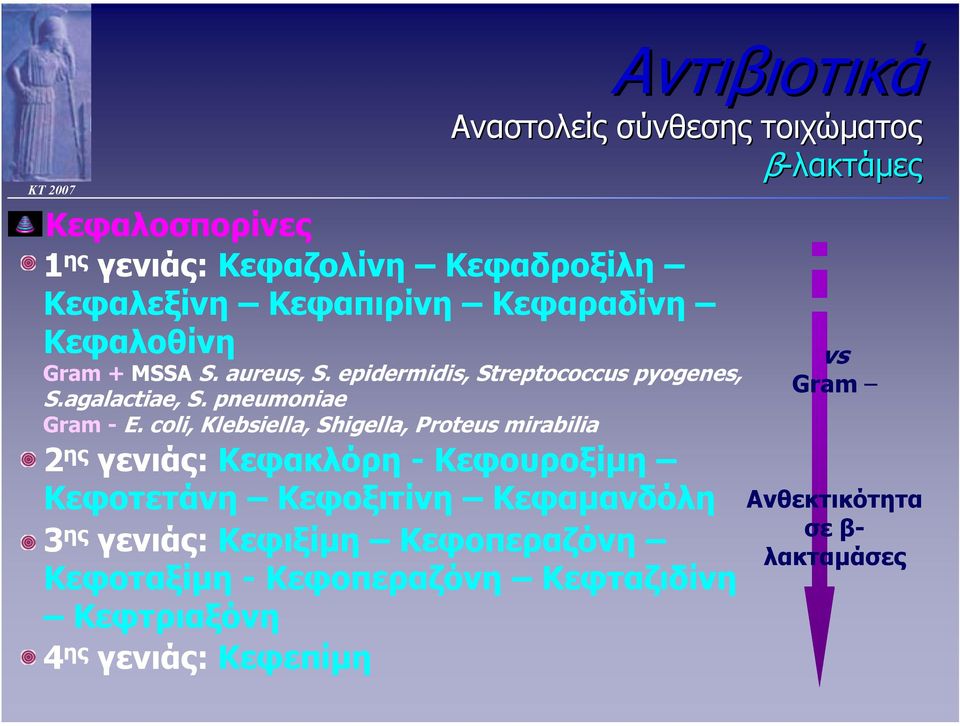 coli, Klebsiella, Shigella, Proteus mirabilia Αναστολείς σύνθεσης τοιχώµατος β-λακτάµες 2 ης γενιάς: Κεφακλόρη - Κεφουροξίµη