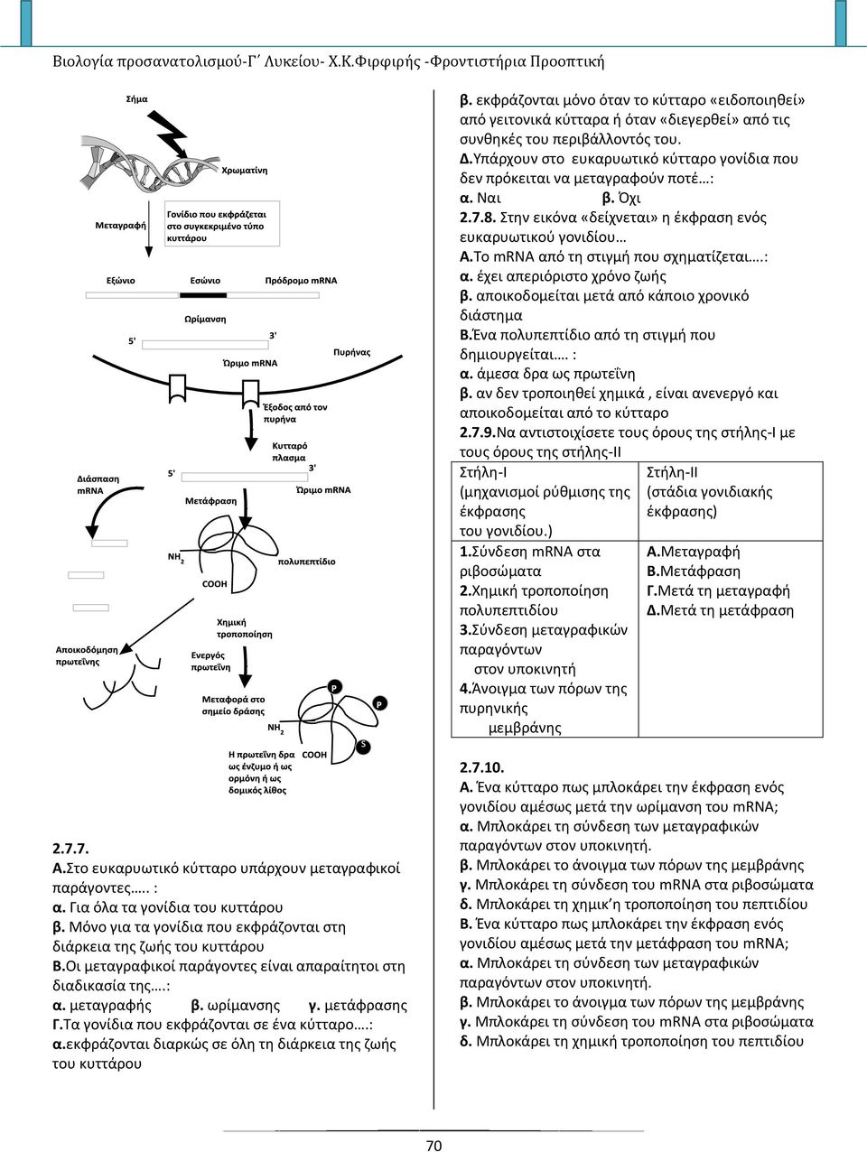 Το mrna από τη στιγμή που σχηματίζεται.: α. έχει απεριόριστο χρόνο ζωής β. αποικοδομείται μετά από κάποιο χρονικό διάστημα Β.Ένα πολυπεπτίδιο από τη στιγμή που δημιουργείται. : α.