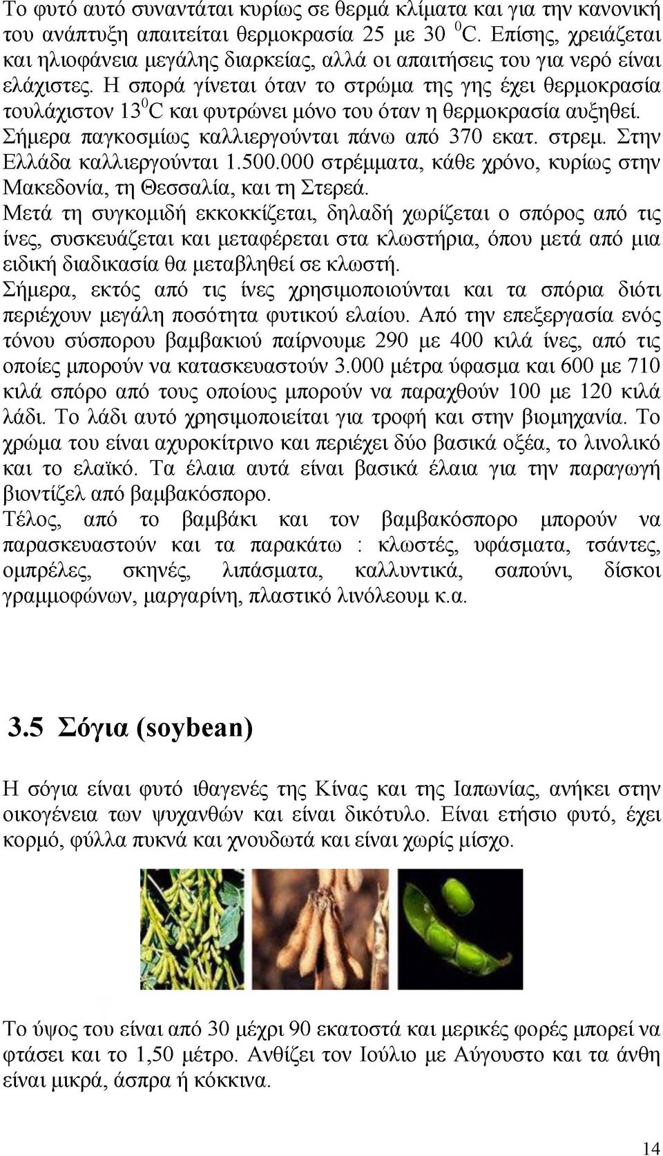 Η σπορά γίνεται όταν το στρώμα της γης έχει θερμοκρασία τουλάχιστον 130C και φυτρώνει μόνο του όταν η θερμοκρασία αυξηθεί. Σήμερα παγκοσμίως καλλιεργούνται πάνω από 370 εκατ. στρεμ.