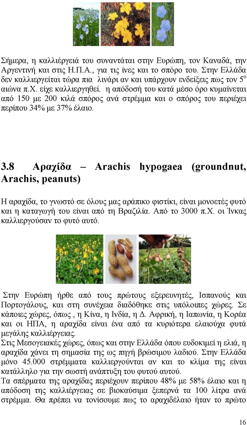 η απόδοσή του κατά μέσο όρο κυμαίνεται από 150 με 200 κιλά σπόρος ανά στρέμμα και ο σπόρος του περιέχει περίπου 34