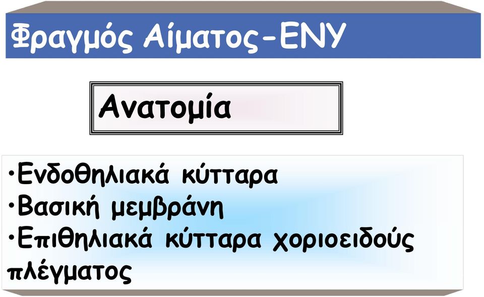 κύτταρα Βασική μεμβράνη