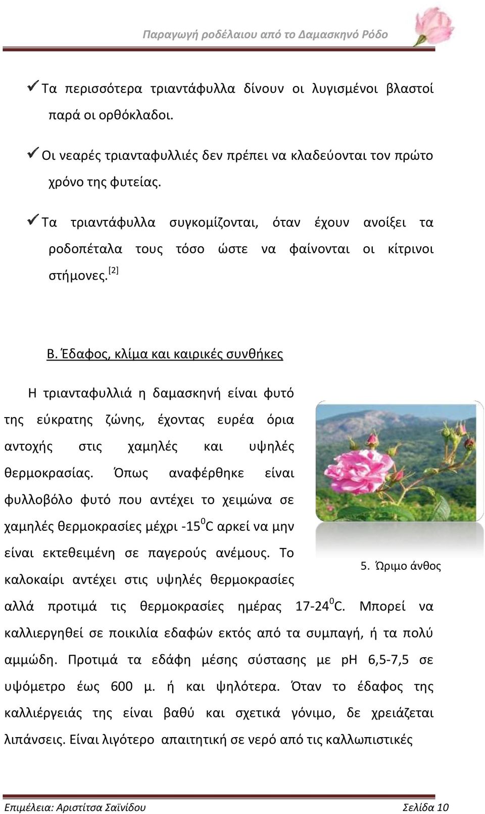 Έδαφος, κλίμα και καιρικές συνθήκες Η τριανταφυλλιά η δαμασκηνή είναι φυτό της εύκρατης ζώνης, έχοντας ευρέα όρια αντοχής στις χαμηλές και υψηλές θερμοκρασίας.