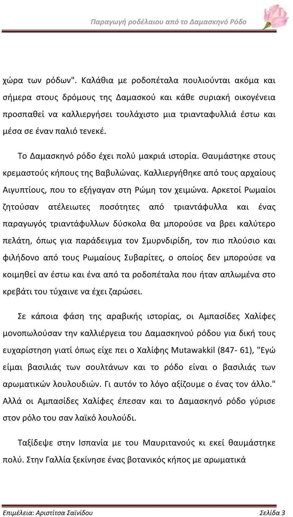 Το Δαμασκηνό ρόδο έχει πολύ μακριά ιστορία. Θαυμάστηκε στους κρεμαστούς κήπους της Βαβυλώνας. Καλλιεργήθηκε από τους αρχαίους Αιγυπτίους, που το εξήγαγαν στη Ρώμη τον χειμώνα.