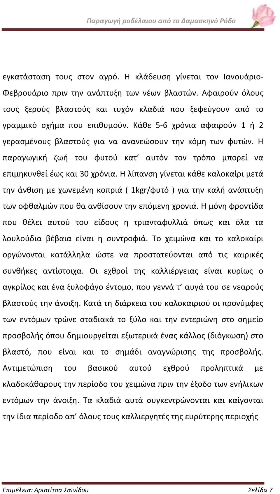 Η παραγωγική ζωή του φυτού κατ αυτόν τον τρόπο μπορεί να επιμηκυνθεί έως και 30 χρόνια.