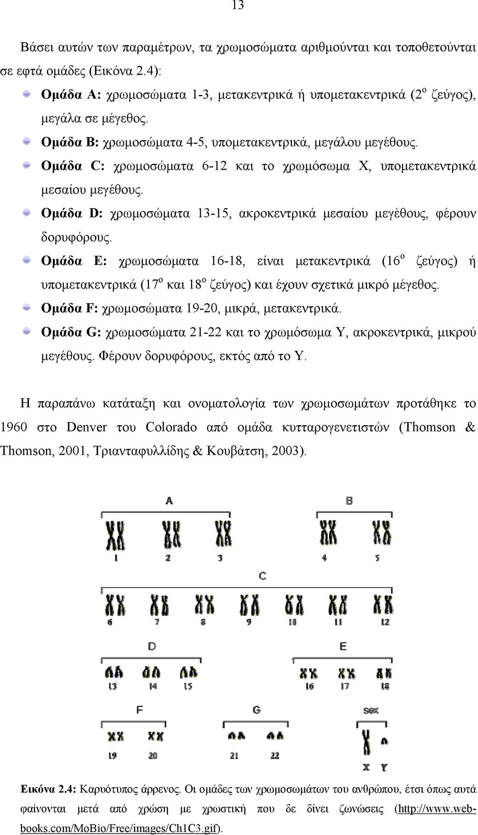 Ομάδα D: χρωμοσώματα 13-15, ακροκεντρικά μεσαίου μεγέθους, φέρουν δορυφόρους.