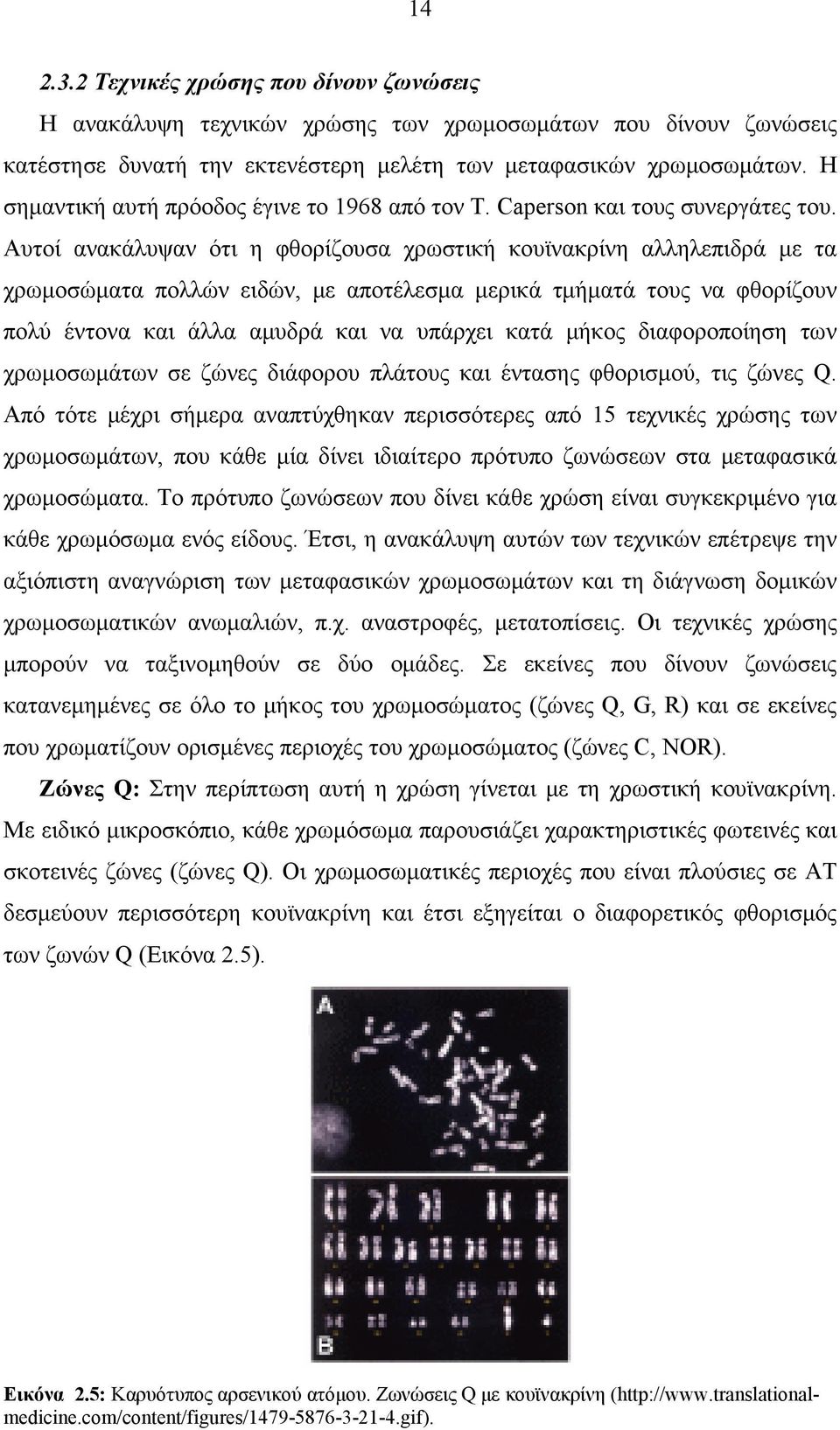 Αυτοί ανακάλυψαν ότι η φθορίζουσα χρωστική κουϊνακρίνη αλληλεπιδρά με τα χρωμοσώματα πολλών ειδών, με αποτέλεσμα μερικά τμήματά τους να φθορίζουν πολύ έντονα και άλλα αμυδρά και να υπάρχει κατά μήκος