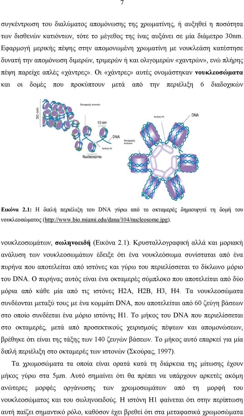 Οι «χάντρες» αυτές ονομάστηκαν νουκλεοσώματα και οι δομές που προκύπτουν μετά από την περιέλιξη 6 διαδοχικών Οκταμερές ιστονών Ιστόνη Η1 Νουκλεόσωμα Ιστόνη Η1 Οκταμερές ιστονών Εικόνα 2.