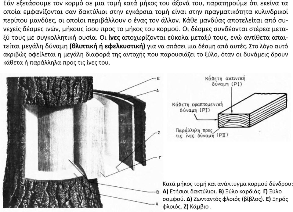 Οι ίνες αποχωρίζονται εύκολα μεταξύ τους, ενώ αντίθετα απαιτείται μεγάλη δύναμη (θλιπτική ή εφελκυστική) για να σπάσει μια δέσμη από αυτές.