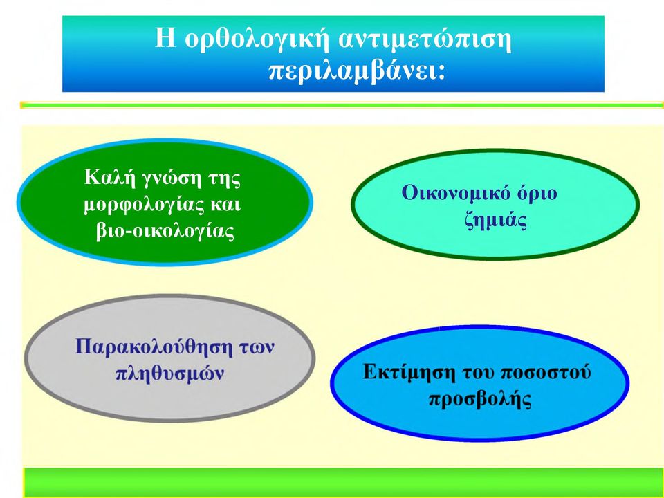 της μορφολογίας και