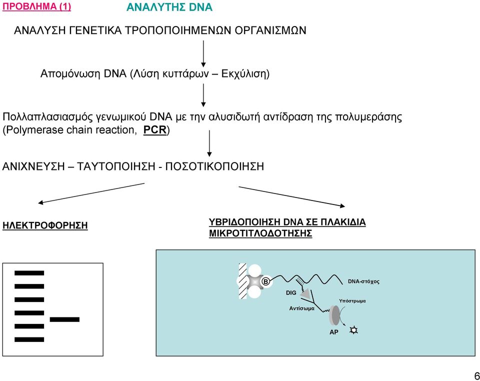 πολυμεράσης (Polymerase chain reaction, PCR) ΑΝΙΧΝΕΥΣΗ ΤΑΥΤΟΠΟΙΗΣΗ - ΠΟΣΟΤΙΚΟΠΟΙΗΣΗ