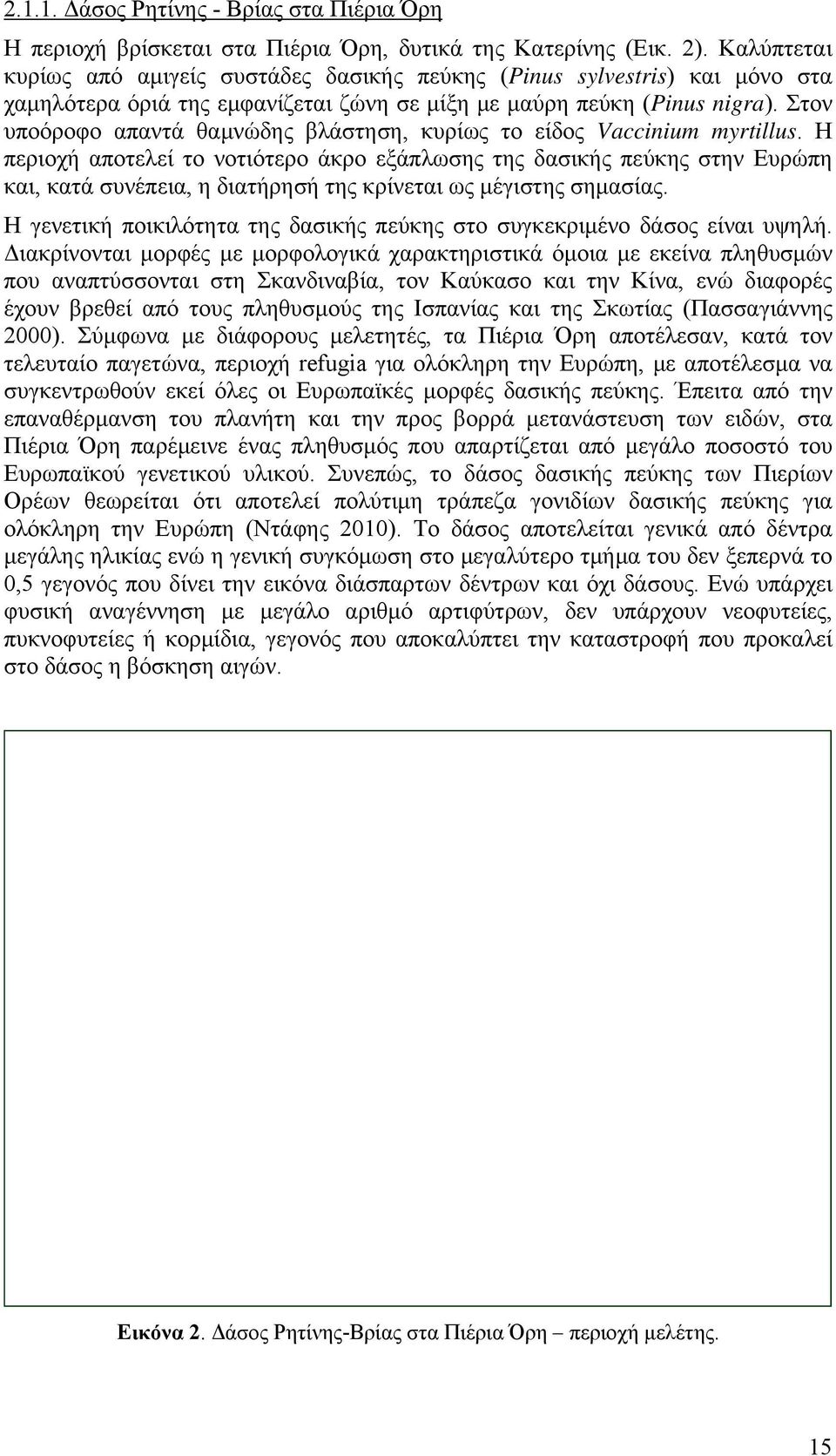 Στον υποόροφο απαντά θαμνώδης βλάστηση, κυρίως το είδος Vaccinium myrtillus.