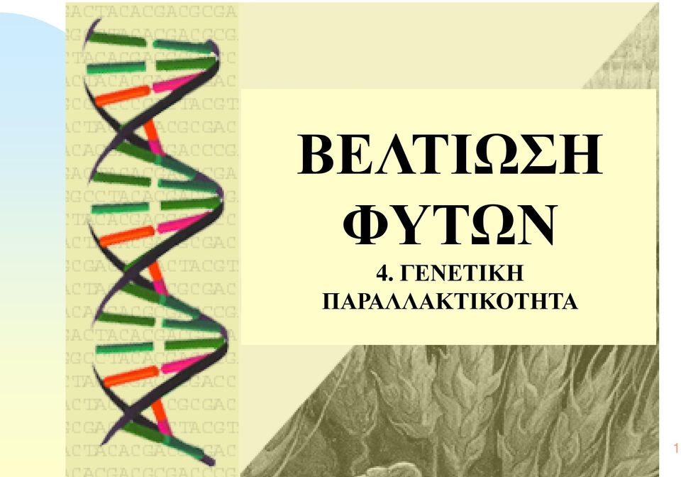 ΓΕΝΕΤΙΚΗ