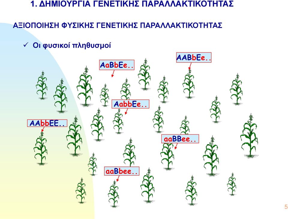 ΠΑΡΑΛΛΑΚΤΙΚΟΤΗΤΑΣ Οι φυσικοί πληθυσμοί