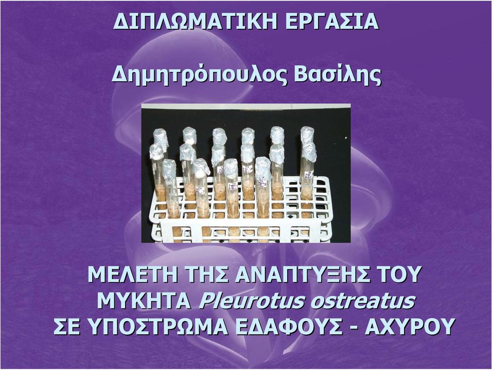 ΤΗΣ ΑΝΑΠΤΥΞΗΣ ΤΟΥ ΜΥΚΗΤΑ