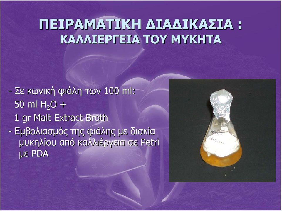 gr Malt Extract Broth - Εμβολιασμός της φιάλης