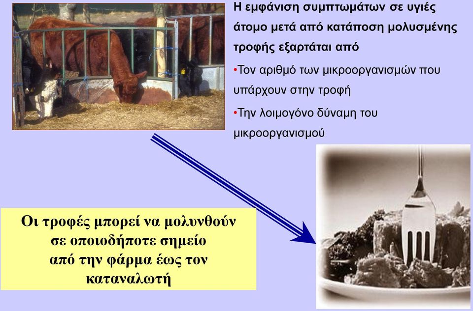 στην τροφή Την λοιμογόνο δύναμη του μικροοργανισμού Οι τροφές