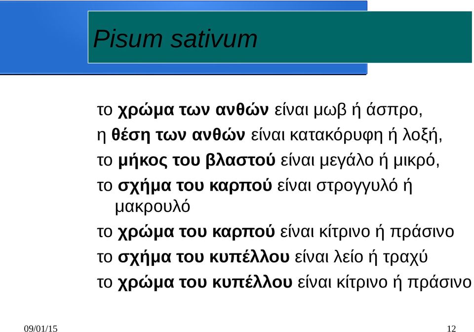 είναι στρογγυλό ή μακρουλό το χρώμα του καρπού είναι κίτρινο ή πράσινο το σχήμα