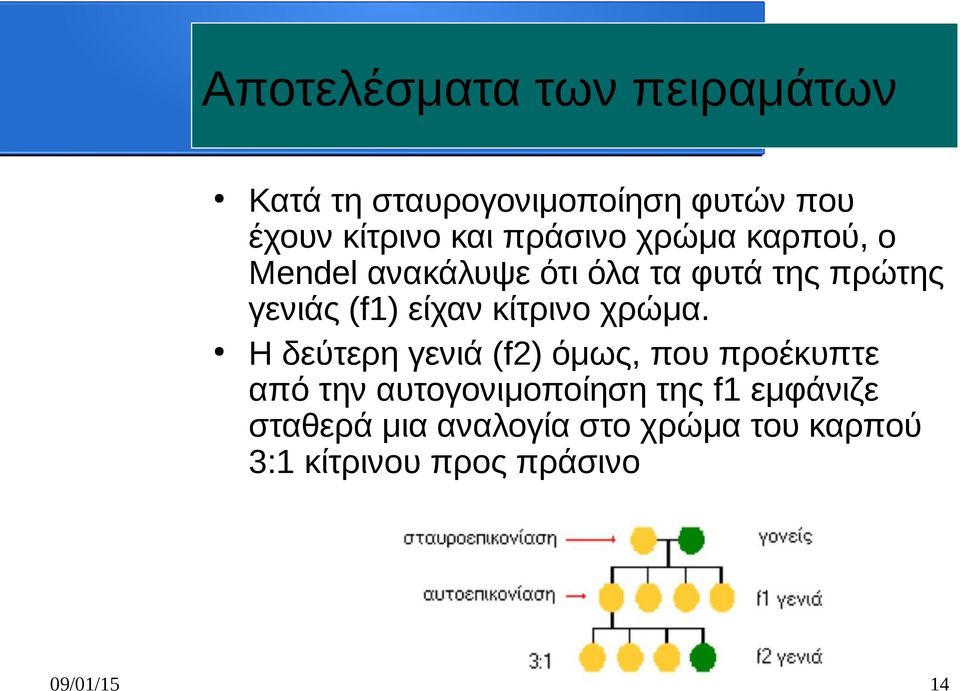 κίτρινο χρώμα.