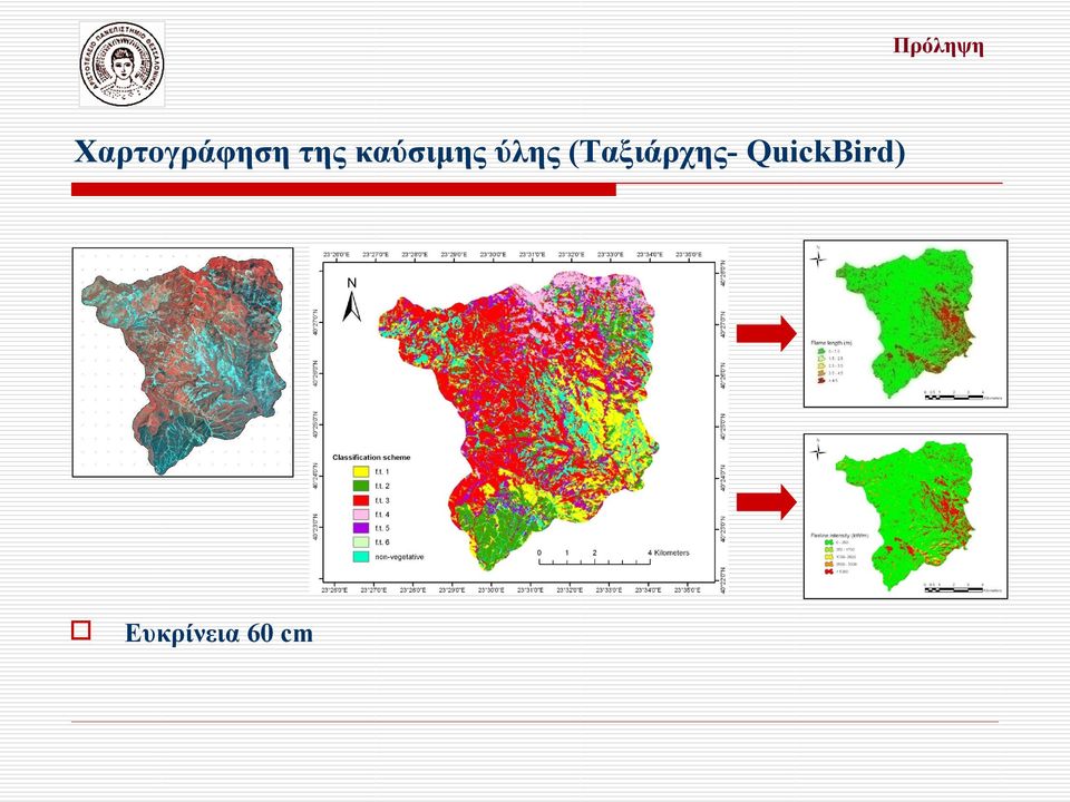 καύσιμης ύλης