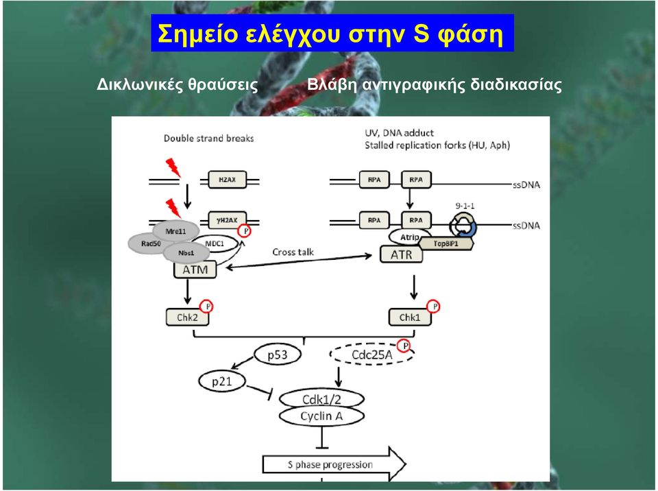 ικλωνικές θραύσεις