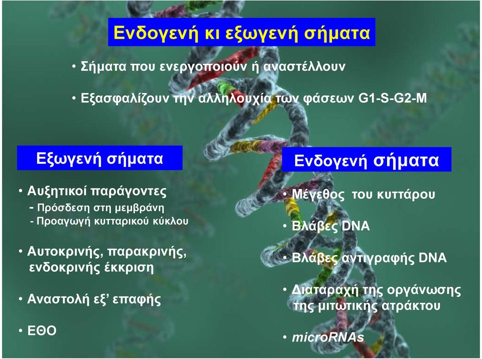 κύκλου Αυτοκρινής, παρακρινής, ενδοκρινής έκκριση Αναστολή εξ επαφής ΕΘΟ Ενδογενή σήµατα Μέγεθος