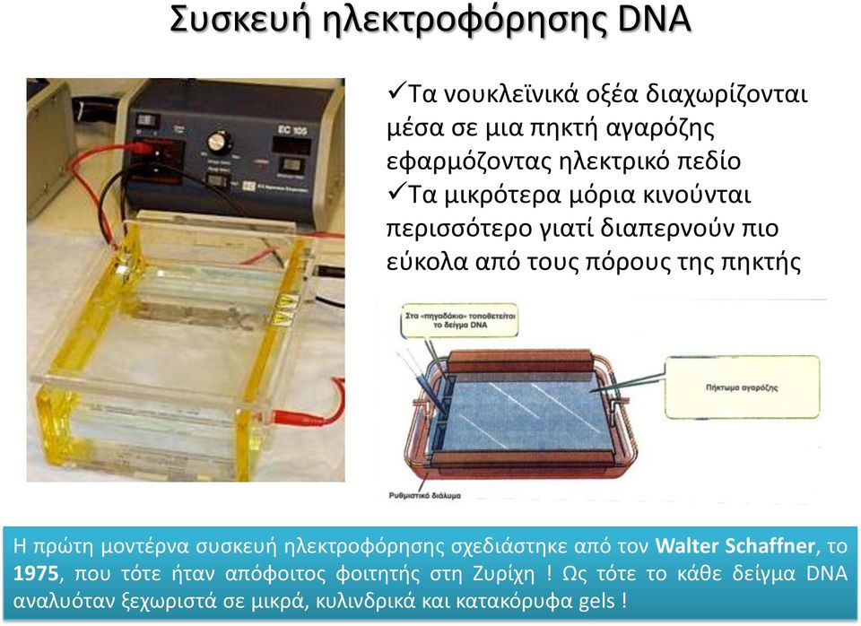 πηκτής Η πρώτη μοντέρνα συσκευή ηλεκτροφόρησης σχεδιάστηκε από τον Walter Schaffner, το 1975, που τότε ήταν